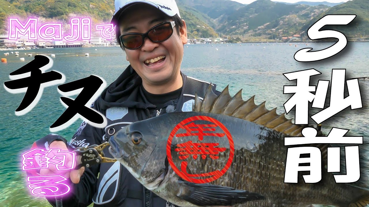 【年無し連発！】マジでチヌ釣る5秒前♪【シロモッチ放心】