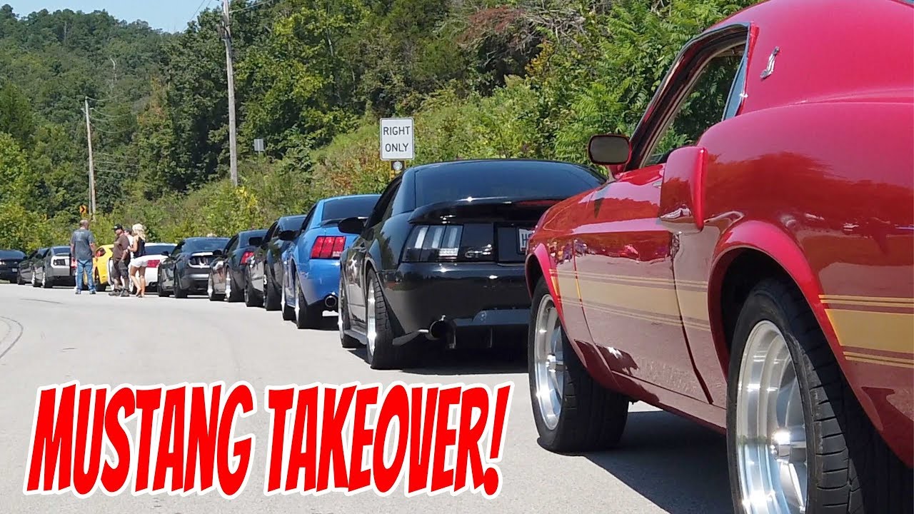 Mustangs Invade Tail of the Dragon!