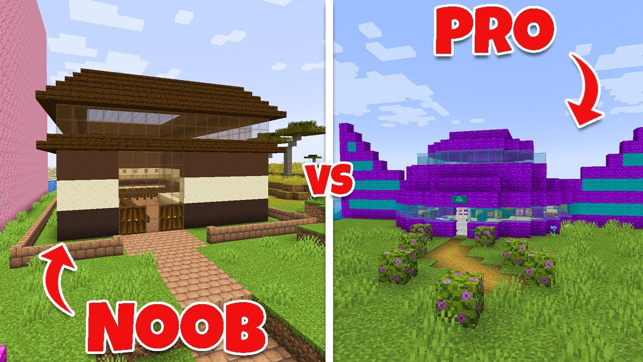 Aphmau Crew builds a CANDY SHOP | NOOB vs PRO