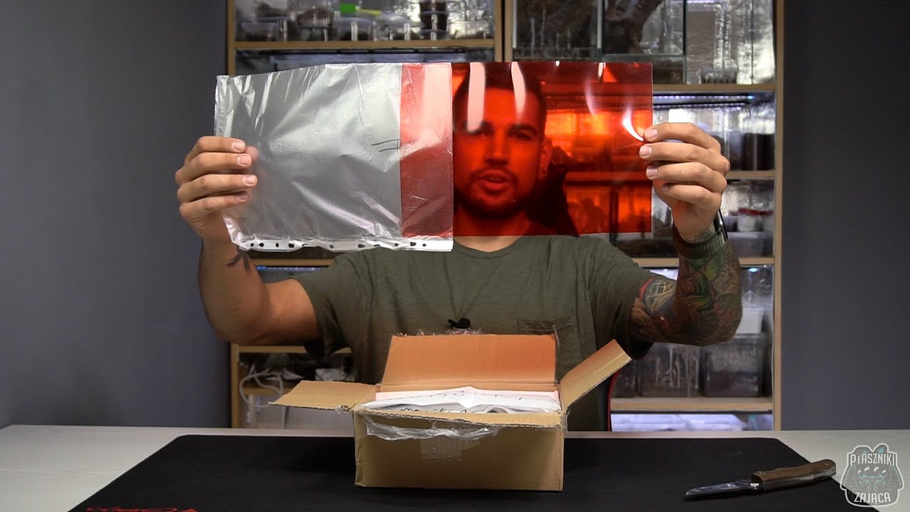 Mocna paka mrówek!