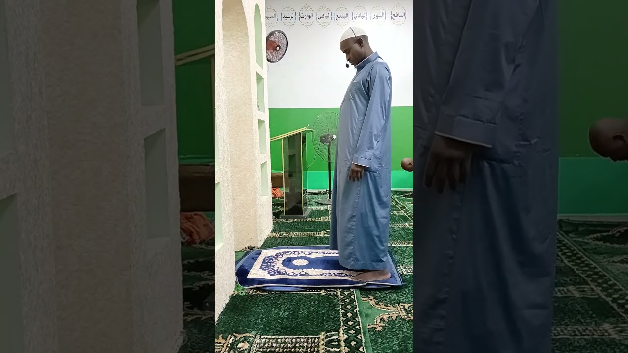Imam Cheikh