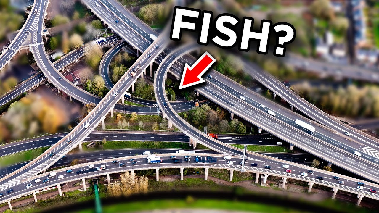 Do Fish Live Under the UK's BIGGEST Interchange?