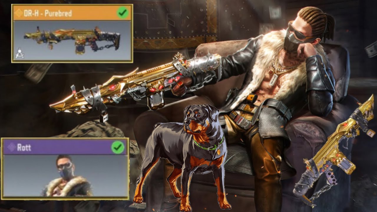 DR-H purebred is INSANE! CODM New Rottweiler Draw full opening showcase COD mobileRanke  in game