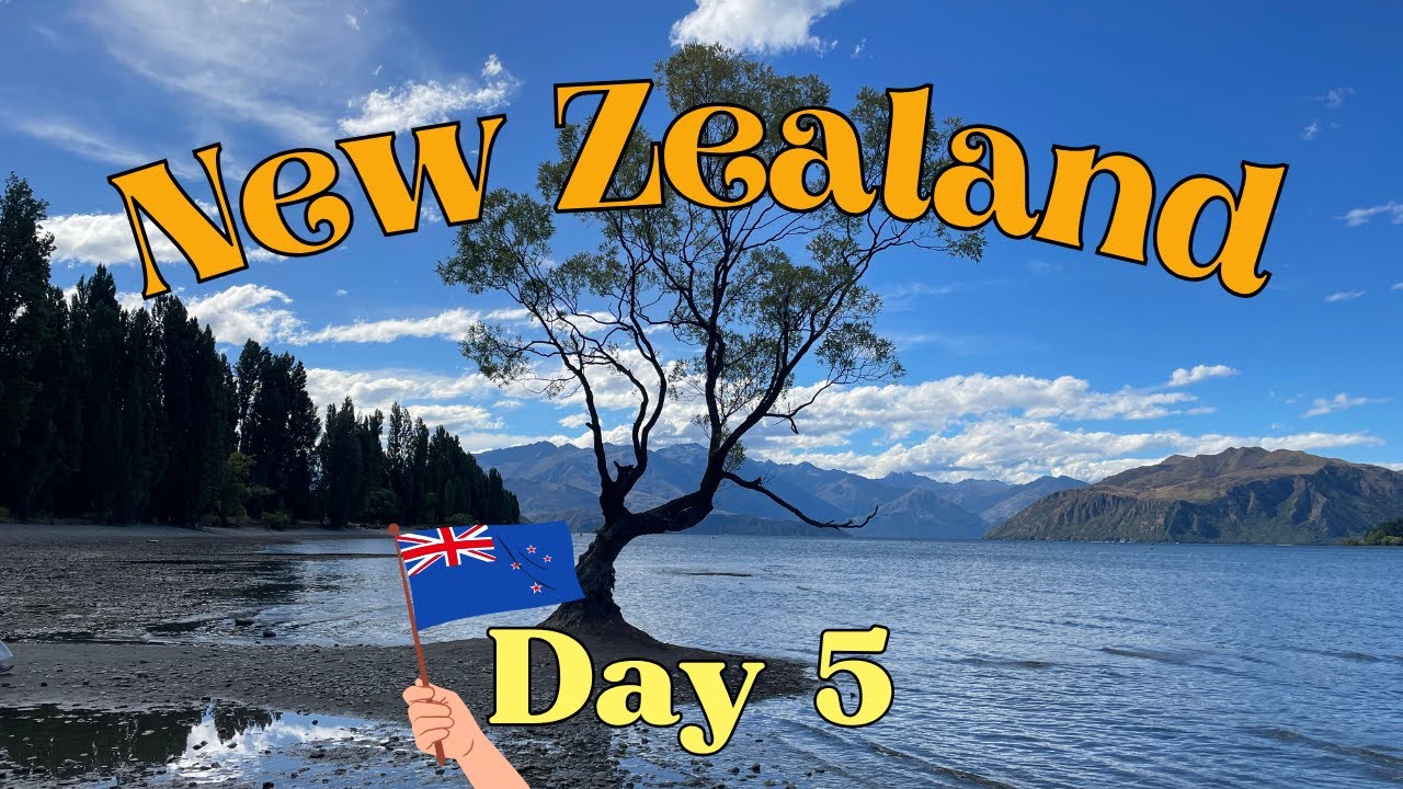 New Zealand Day 5 - Wild Wire, Transport and Toy Museum, Wanaka Tree