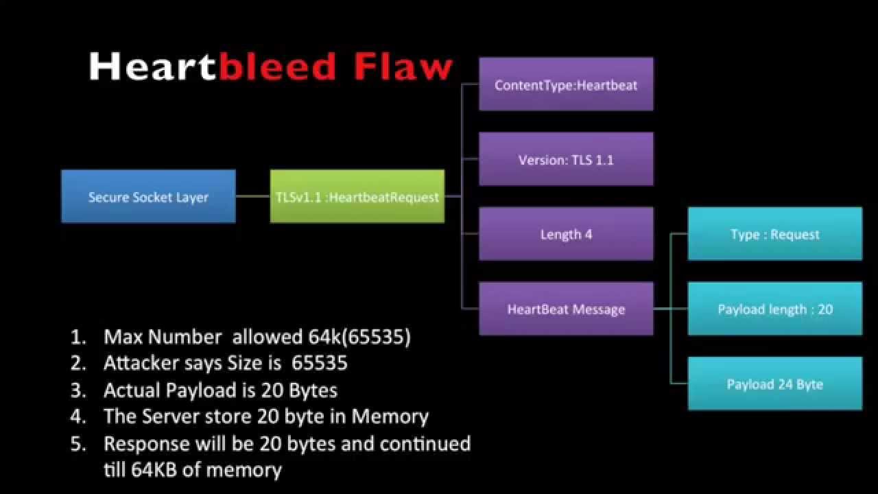 openssl the heartbleed flaw in openssl,heartbleed bug tutorial