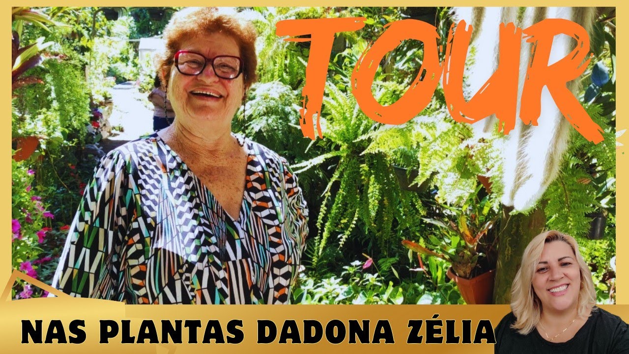Um Tour nas plantas da  dona Zélia - sempre encontro algo especial lá