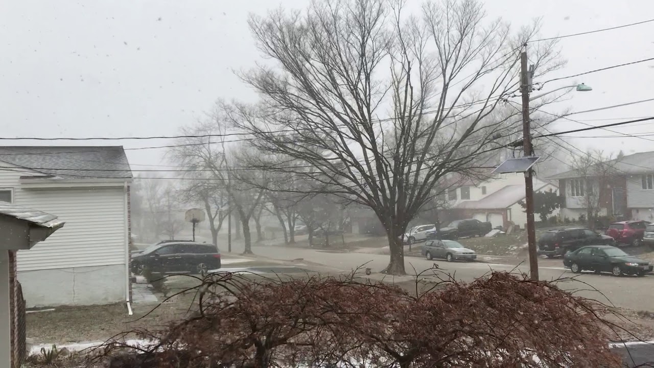 Video 4 Snow Squall Cherry Hill NJ Justin Mirigliani 1-30-19