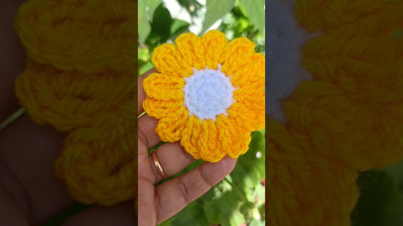 Crochet Daisy flower 🌼🌼🌼 #crochet #crochetpatterns #crochetforbeginners #crochetintamil #diy