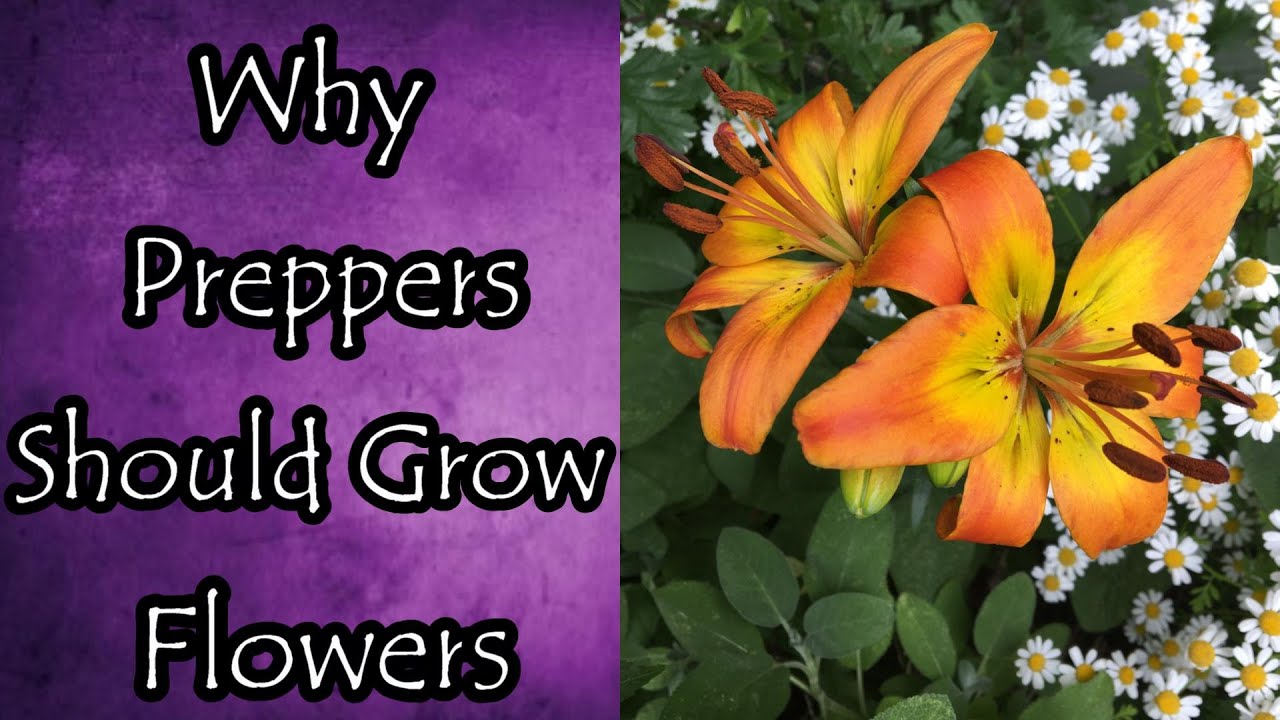 Why Preppers Should Grow Flowers