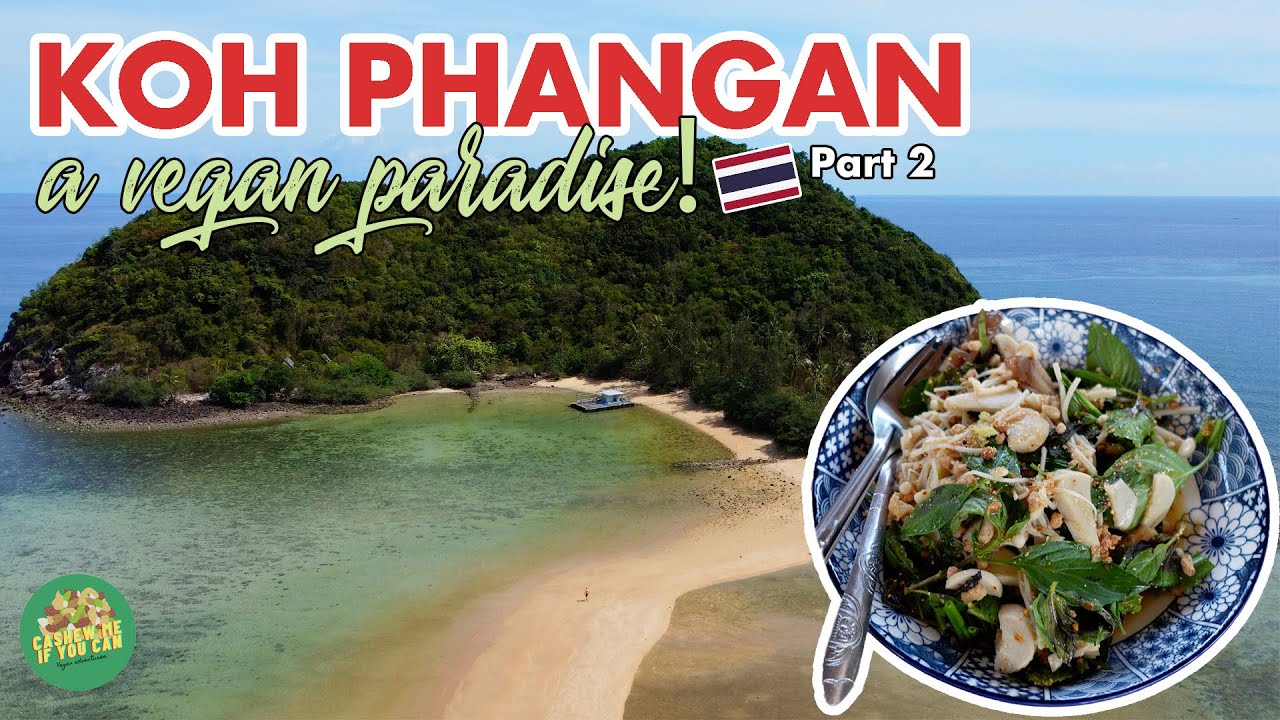 Koh Phangan | VLOG Plant-Based Dining in Thailand 🇹🇭 - PART 2