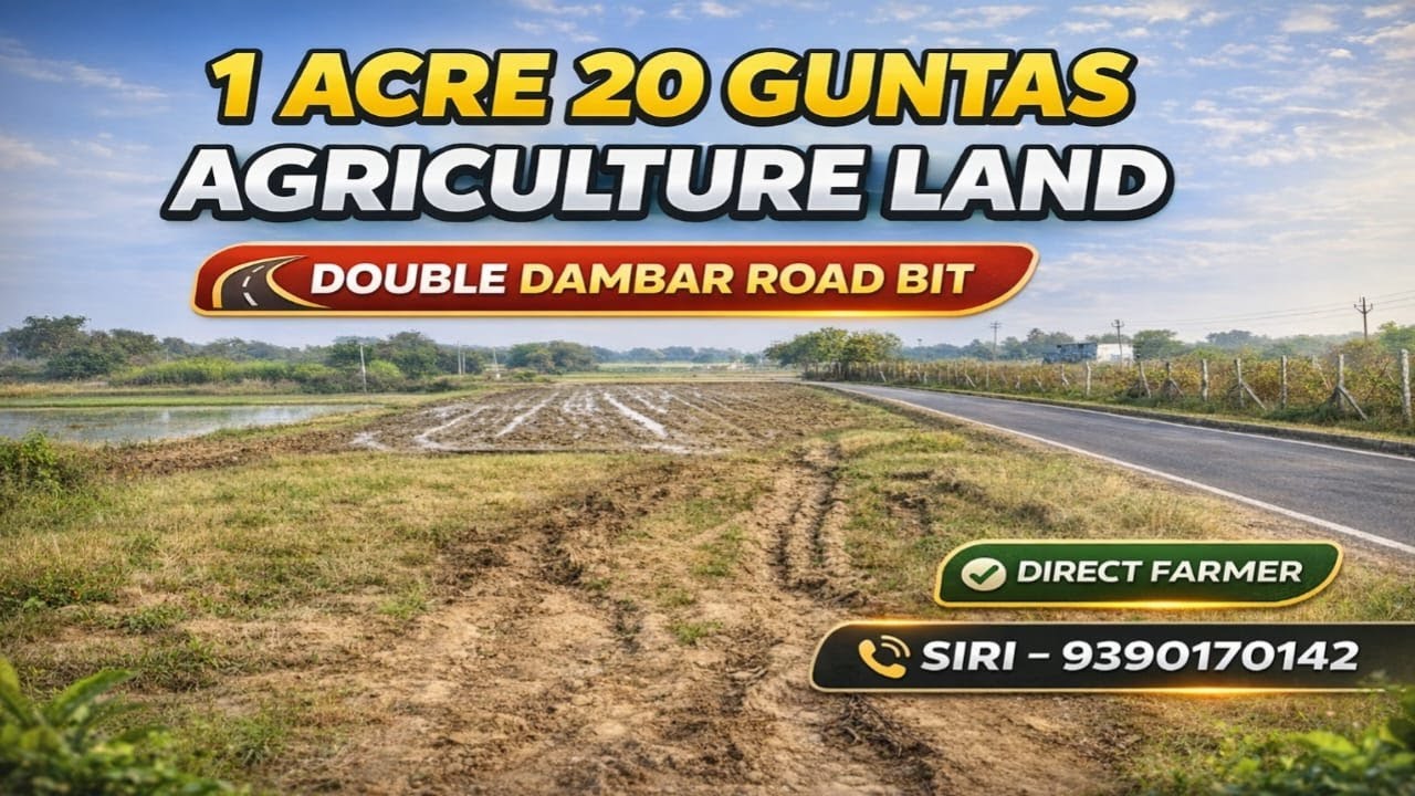 Siri:9390170142||Double Dambar BT Road BIT||Agriculture land sale||1.20 Acres #youtube #agriculture