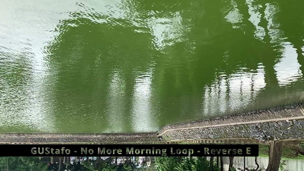 GUStafo   No More Morning Loop   Reverse E