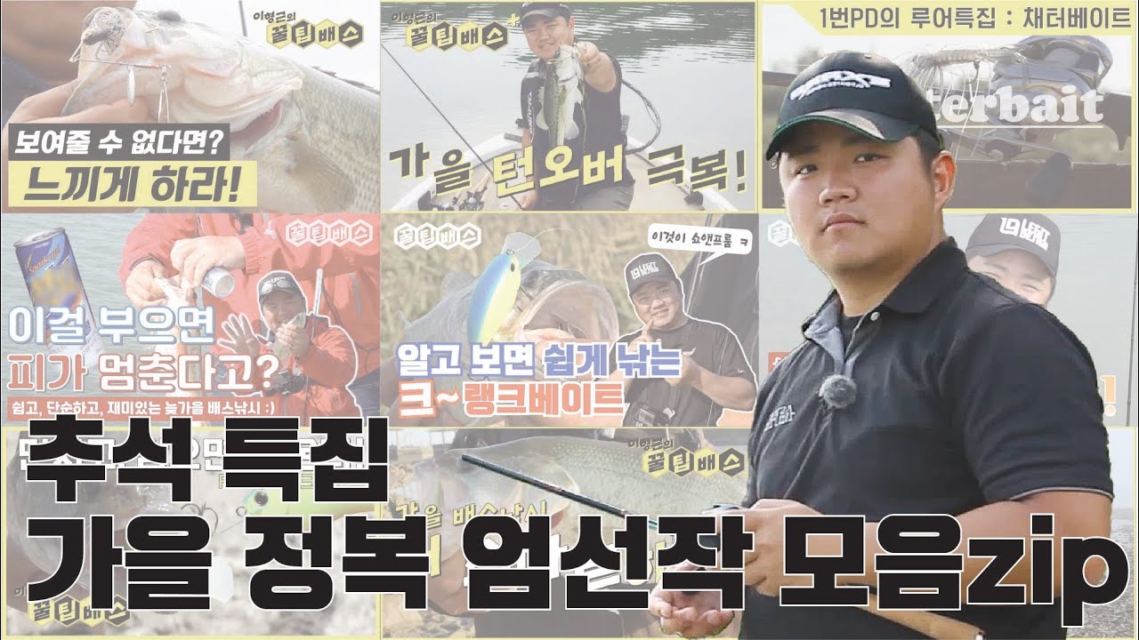 꿀팁배스 가을 배스낚시 모아보기