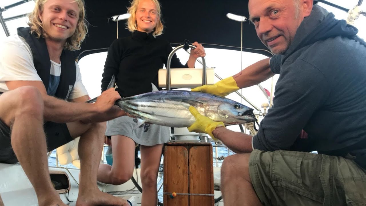 Hoe fileer je een vis? Hier is een stappenplan visfileren.