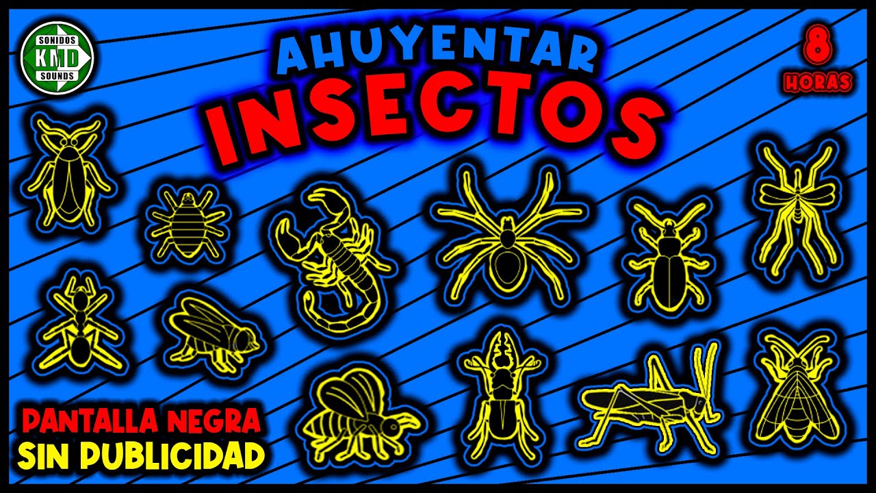 SONIDO PARA AHUYENTAR INSECTOS 🚫🦟 REPELENTE DE INSECTOS - ULTRASONIDO