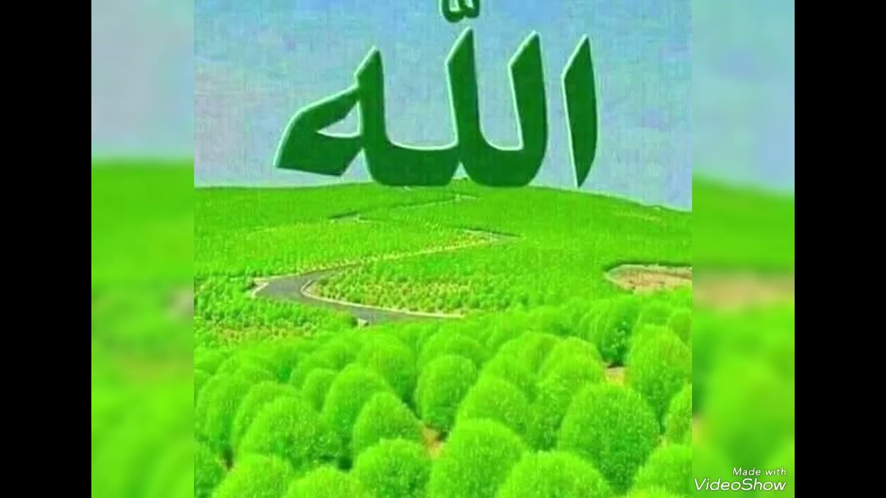 kusaliya nabiga صلى الله عليه وسلم  yutubka subscribe Saara axbaabe lik ♥️ sher