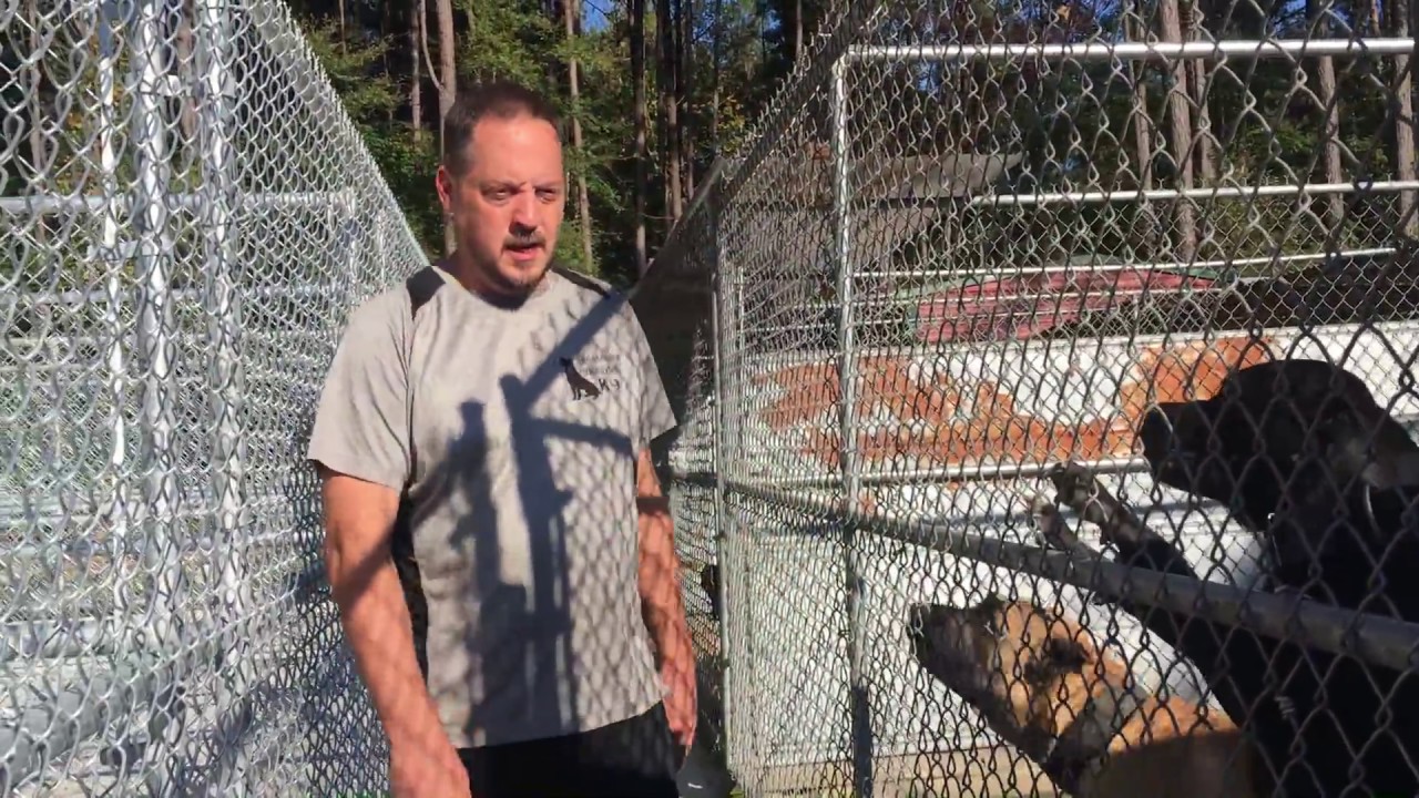 American Sentinel K9, LLC Kennel updates 10-01-2017 - Ep