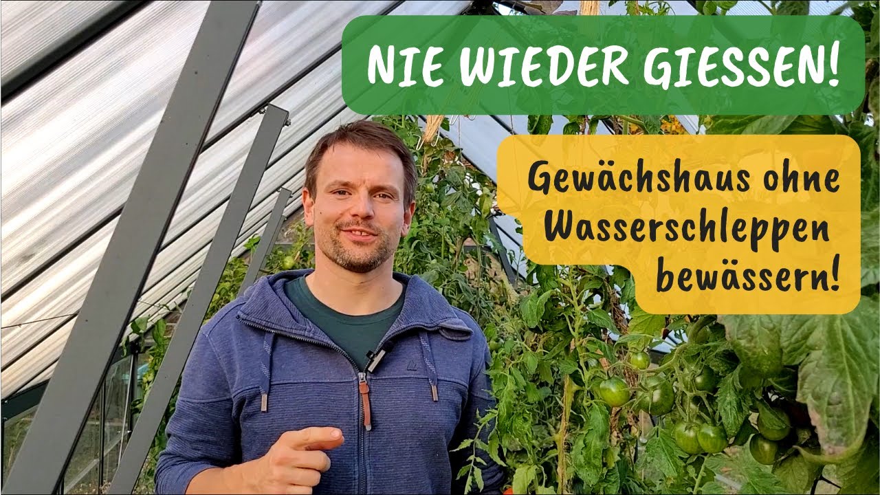 Nie wieder gießen - Einfache Gewächshausbewässerung mit Regenwasser ohne Aufwand und Schleppen