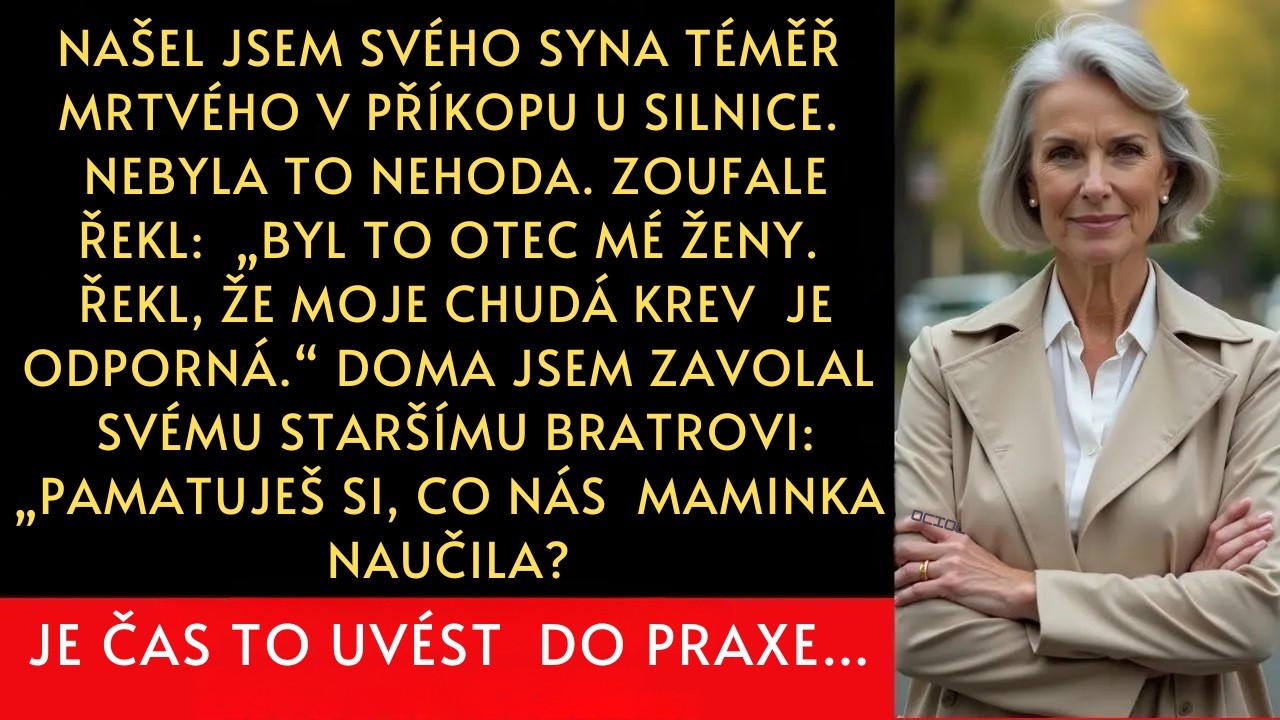 Našel jsem svého syna v příkopu, téměř mrtvého.Jediné, co dokázal říct, bylo:„Byla to moje žena…“