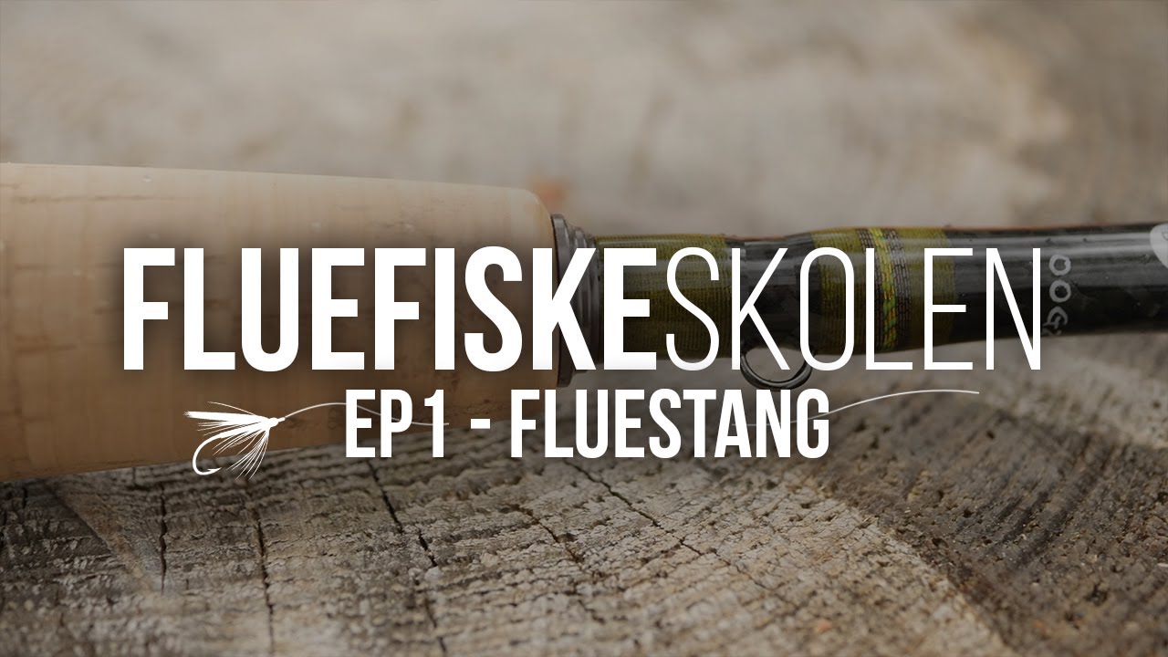 Valg av fluestang - Fluefiskeskolen Ep1 - Fluestang nybegynner