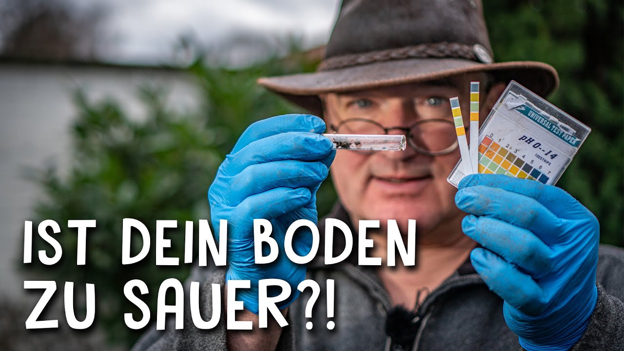 So wichtig ist eine Bodenanalyse! 🧐 - PH-Wert bestimmen von Boden und Wasser