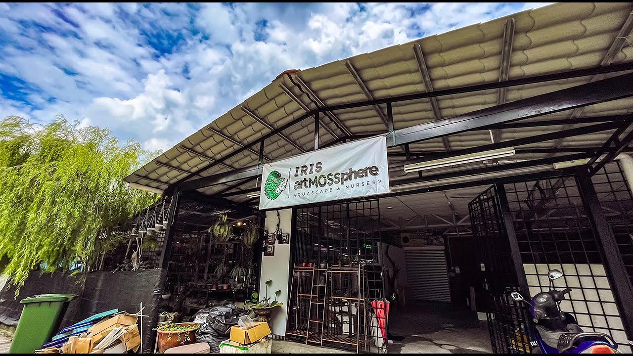 AN AMAZING 'OUTDOOR' Aquascaping Store in MALAYSIA!