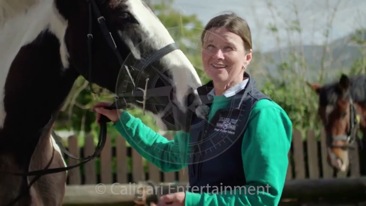 Irischer Kompass ARTE Docu Island View Riding Stables