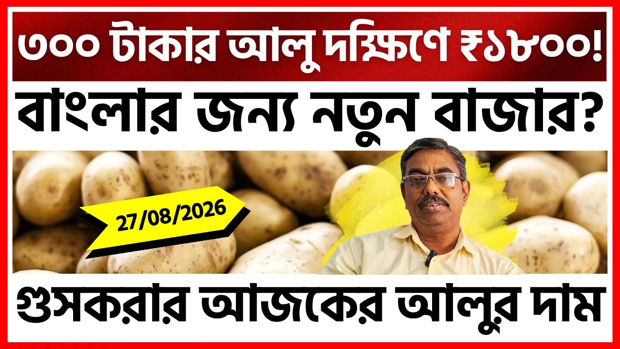 বাংলায় আলু ₹300, কেরালায় ₹1800! আন্তঃরাজ্য ব্যবসায় বড় সম্ভাবনা? Exclusive Report | India Potato