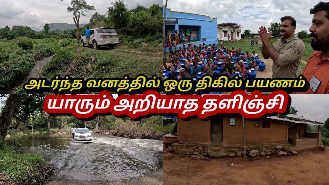 தனி தீவு தளிஞ்சி | அடர்ந்த வனத்தில் ஒரு திகில் பயணம் | thalinji | F&T TAMIL |@foodtraveltamil86
