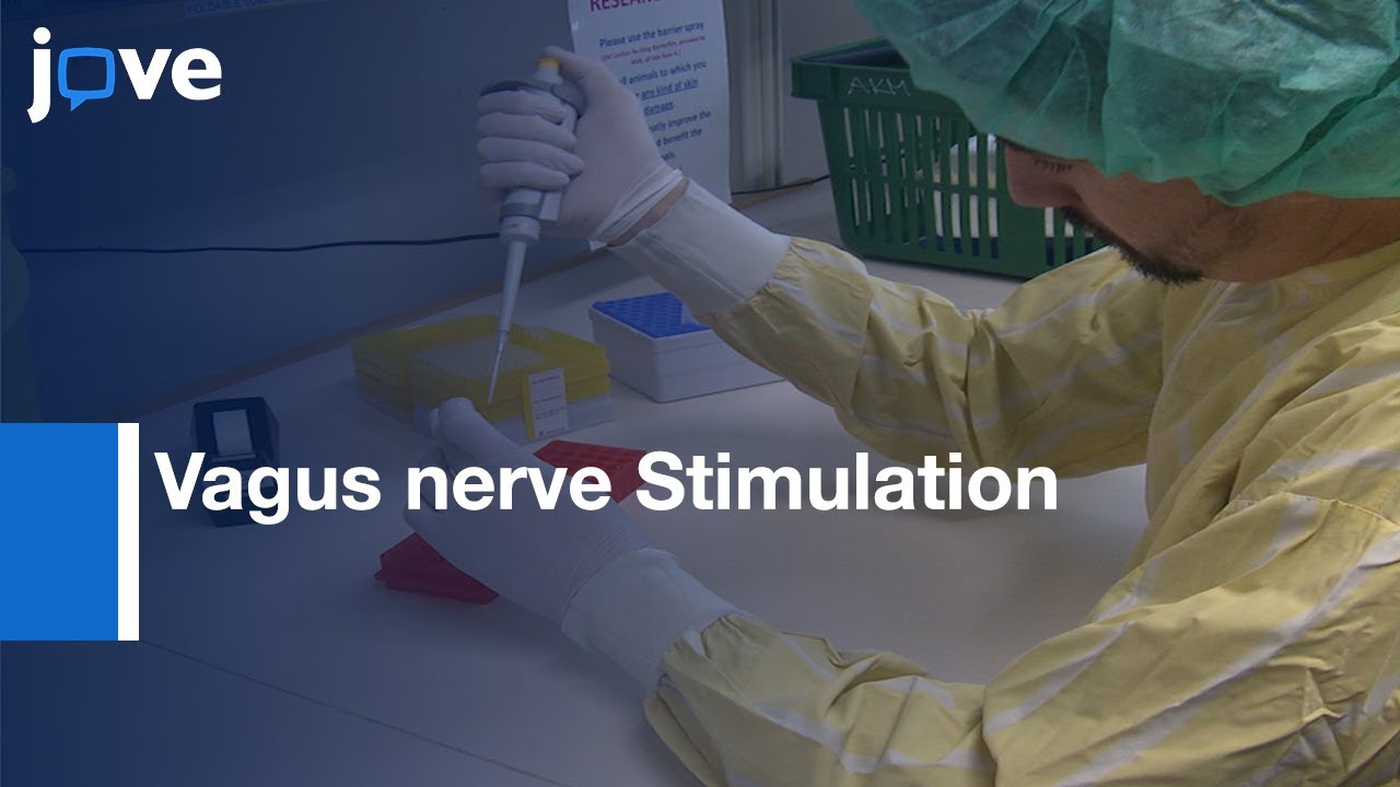 Vagus nerve Stimulation mechnisms  in Limited Inflammatory Responses | Protocol Preview