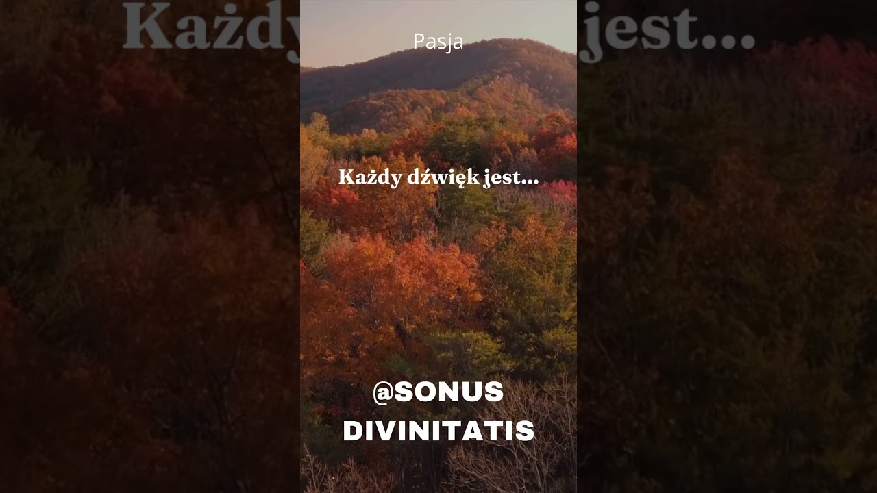 #shorts Nuta Siły. Motywacja autor&oacute;w i muzyk&oacute;w- Sonus Divinitatis nr.41