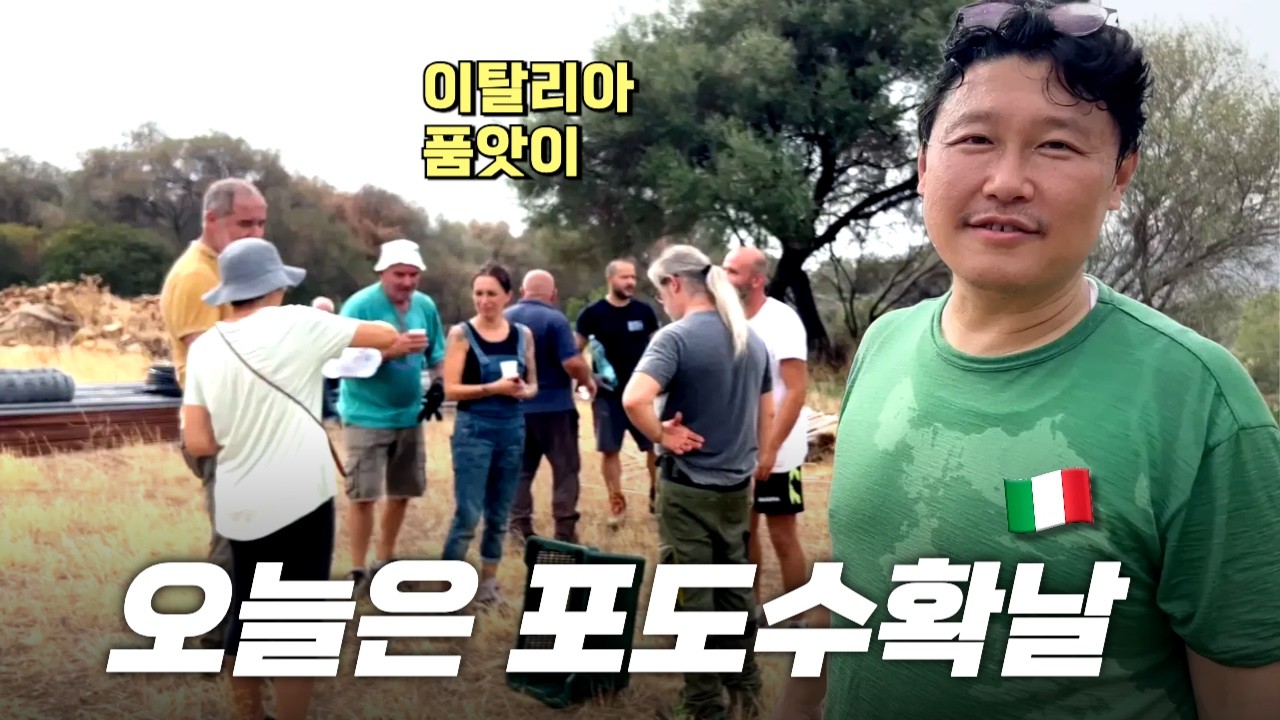 오늘은 패션농부 🇮🇹 이탈리아 시골 마을 포도수확날