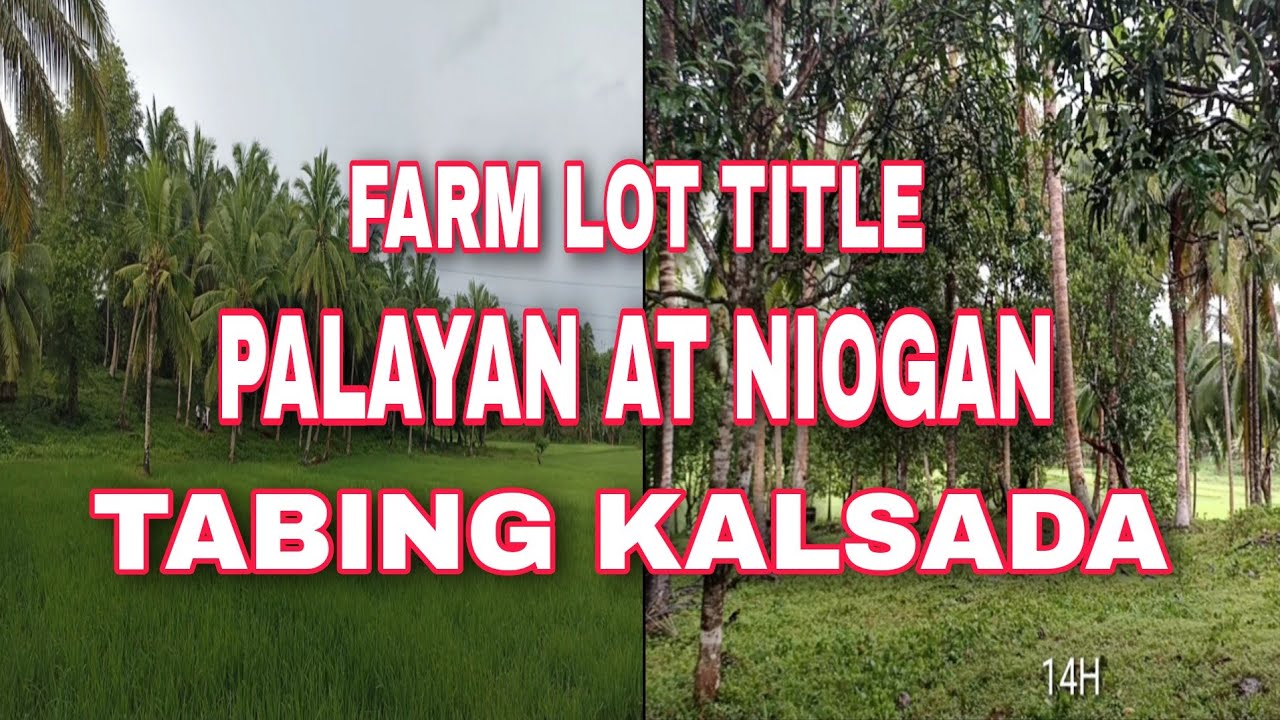 #597 #MURANG LUPA NA PROFITABLE