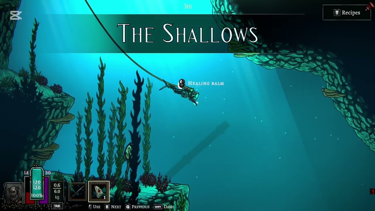 DIVE or DIE - Children of Rain Playtest