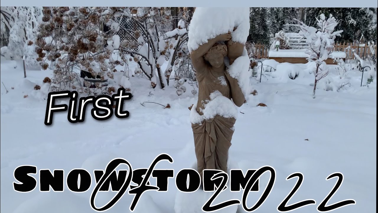 First Snowstorm Damage in the Garden 2022
