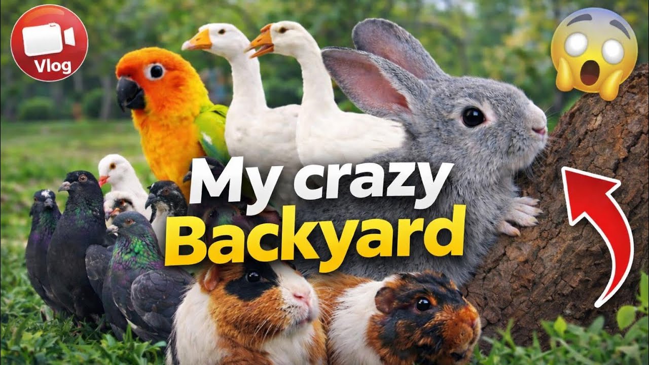 Welcome to My Home With 50 Animals | Full Backyard Tour 