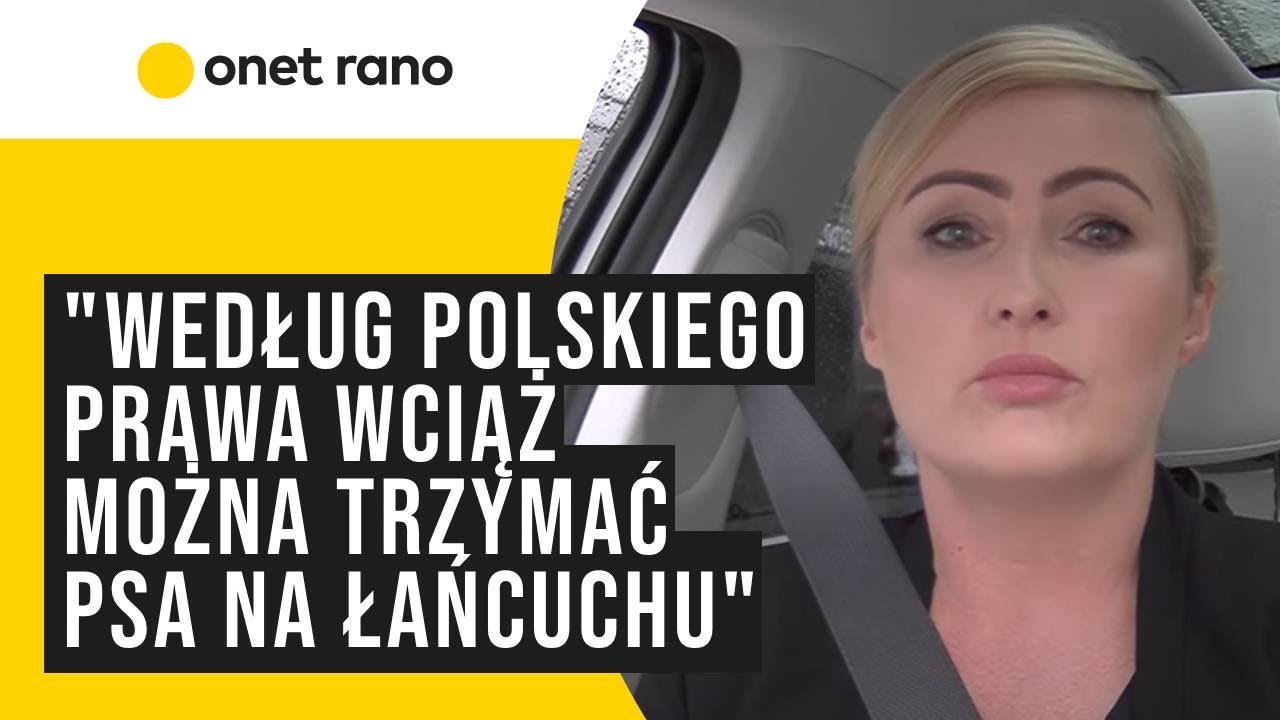 Trwa zbiórka podpisów pod projektem ustawy o ochronie zwierząt. Agnieszka Woźniak-Starak podpisała