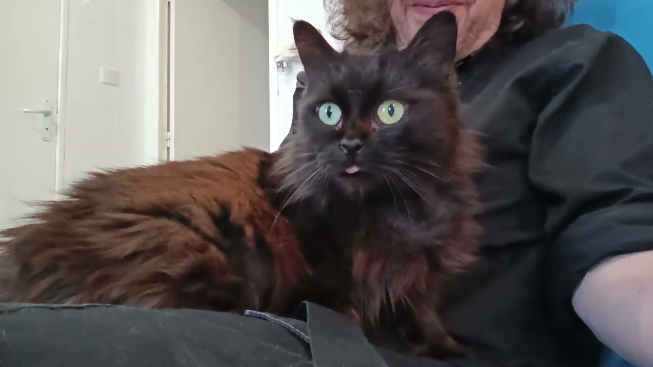 Blackie (05/02/2026)