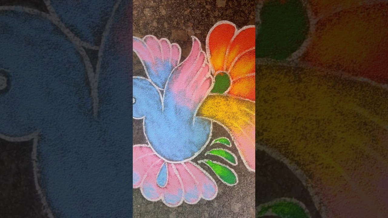 Beautiful Dove Bird Rangoli Kolam | Simple Colour 