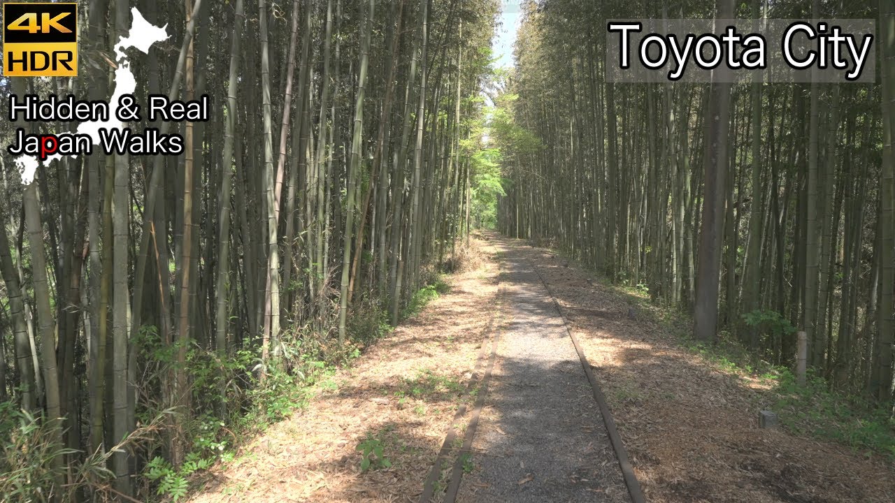 Silent Beauty of an Abandoned Station: Mikawa Hirose, Toyota City