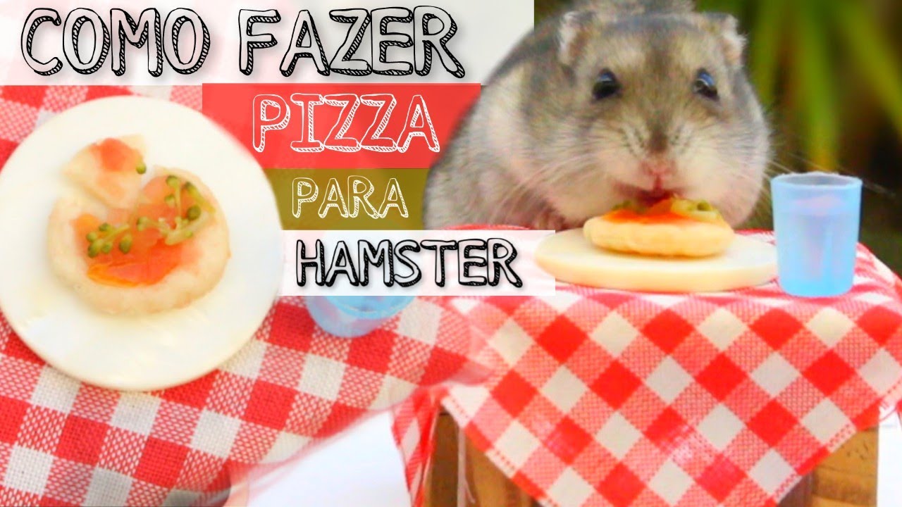 Como fazer pizza para hamster!