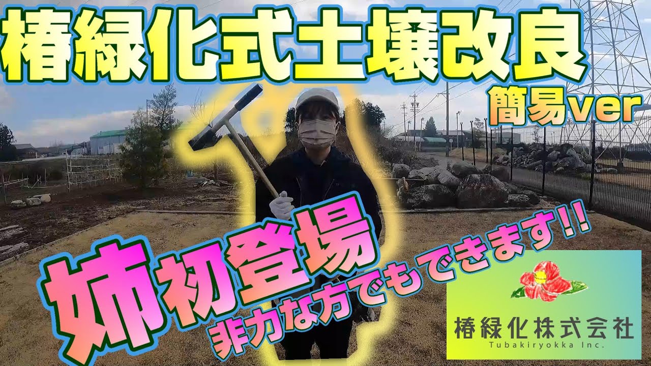 【芝生】椿緑化式土壌改良簡易verです！どんな方でも作業ができる⁉