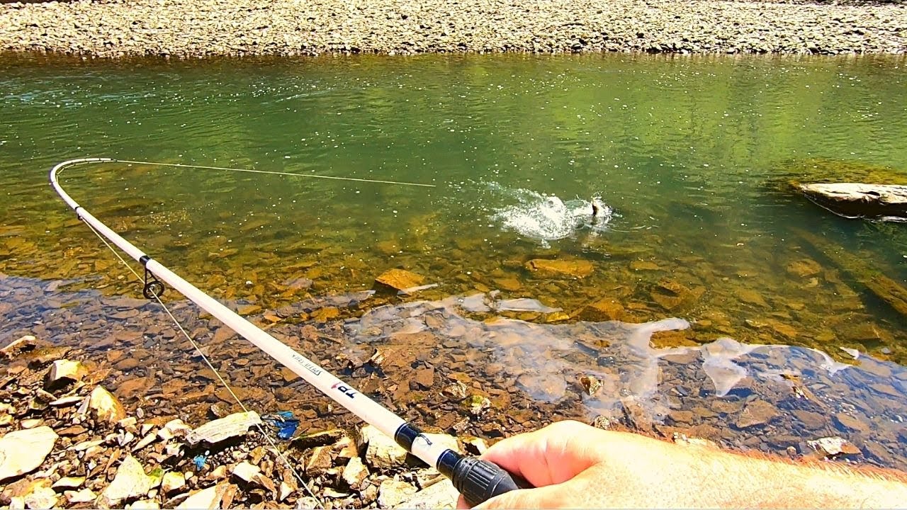 RattleSnake Surprise!! While Bank Fishing Ocoee River