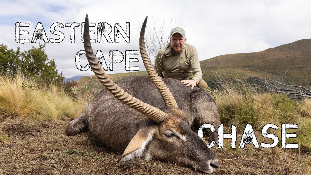 Eastern Cape Chase |SUN AFRICA SAFARIS