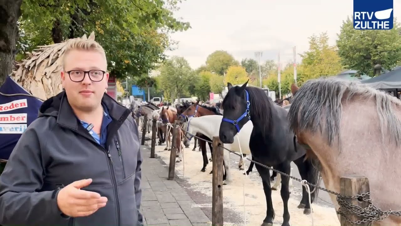 Tweehonderd paarden op de Paardenmarkt in Roden: 