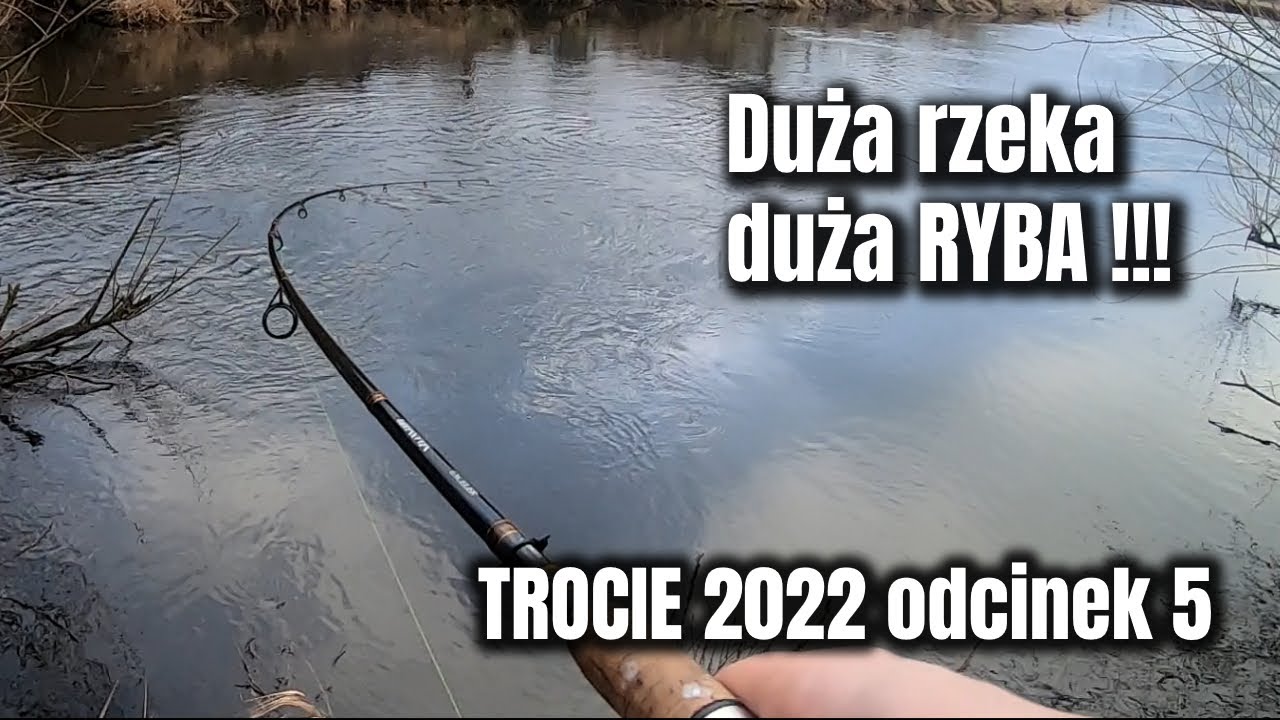 Duża rzeka DUŻA RYBA !!! Trocie 2022 odcinek 5