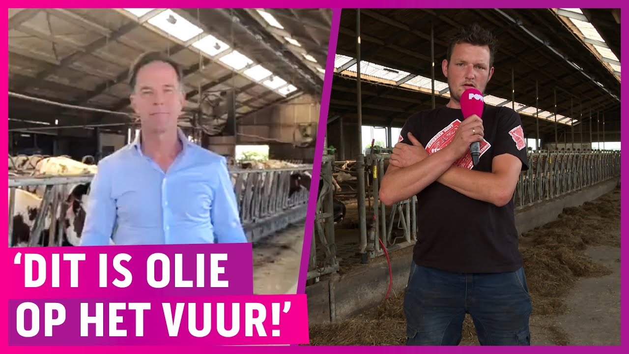 Boze Boer Koos trapt niet in geslijm Mark Rutte