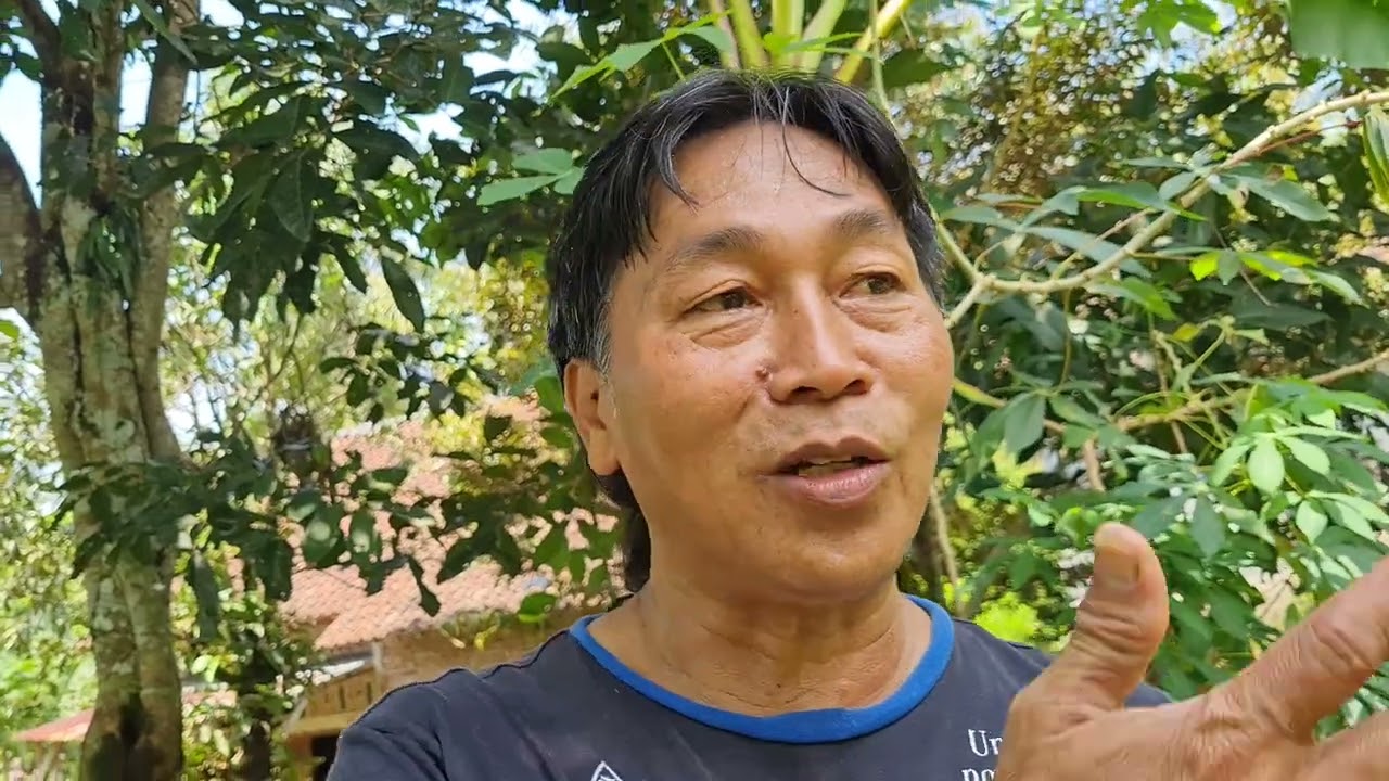 🤩🤩🤩 metode pertanian sistem restbed untuk pertanian milenial #banyumas #agrikultur #cigriyeng #tani 