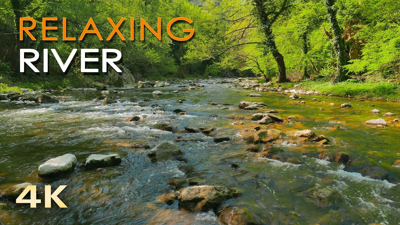 4K Relaxing River - Nature Video -  Water Stream & Birdsong Sounds - Sleep/Study/Meditate/ASMR