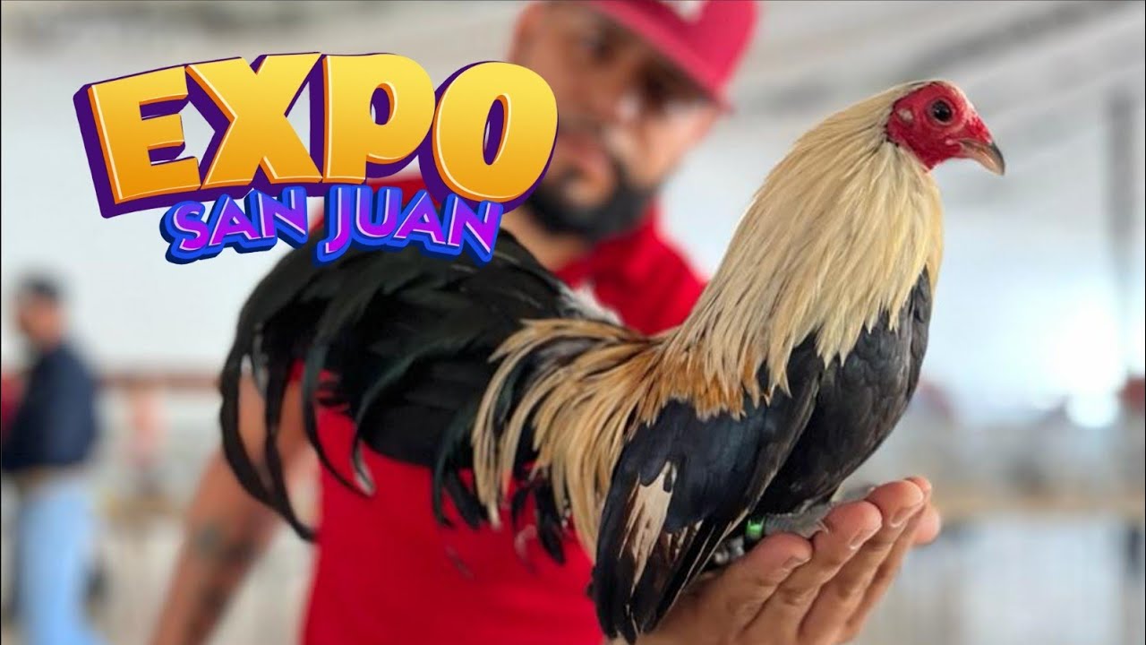 Explorando la Expo de San Juan de los Lagos: Un paraíso para los amantes de las aves